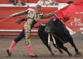 Colombian bullfighter Luis Bolivar fights Perecudo bull