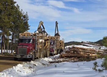 Trump Says US Doesn’t Need Canada’s Timber, And Wyoming’s Lumber Industry Agrees