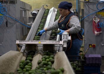 Trump tariffs on North America hint at first stirrings of what’s to hit South-east Asia