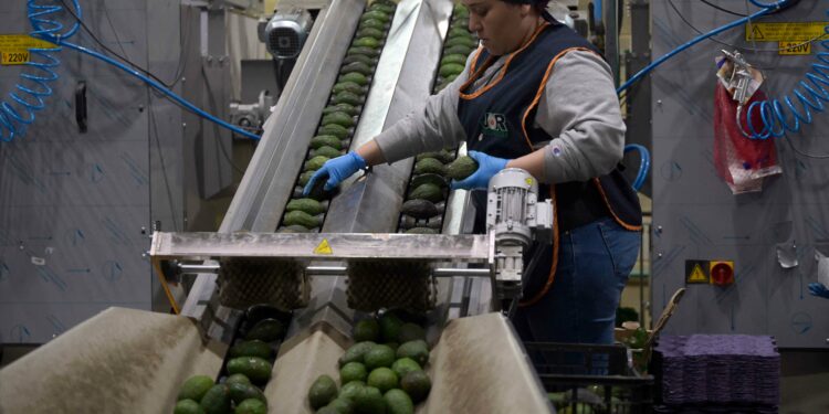 Trump tariffs on North America hint at first stirrings of what’s to hit South-east Asia