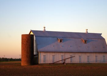 USDA Releases Funds Committed to Farmers | Newsline