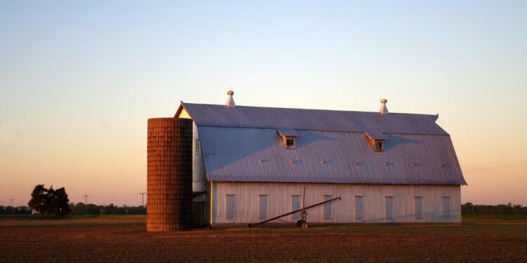 USDA Releases Funds Committed to Farmers | Newsline
