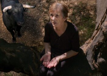 ‘Fire Of Wind:’ Locarno Title From Marta Mateus Lands NA Distribution