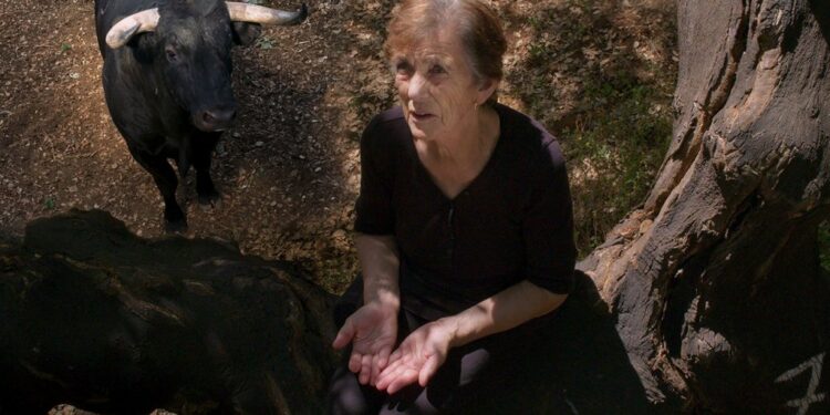 ‘Fire Of Wind:’ Locarno Title From Marta Mateus Lands NA Distribution