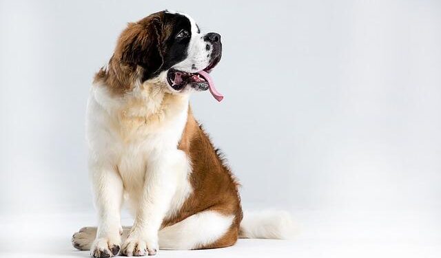 Barry Moore, Gary Palmer only two Alabama U.S. Reps to back 2024 measure to strip embattled USAID of funding – 1819 News