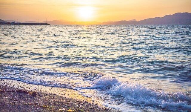 Get Joe To Peru: Birkenshaw youngster ‘excited’ to represent Spen Valley Scouts in South America – Dewsbury Reporter