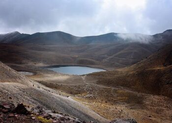 Mexico vs Jamaica, latest updates from Copa America: Final score and highlights – Marca English