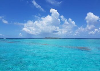 Trinidad and Tobago citizens in US divided on presidential candidates – TT Newsday