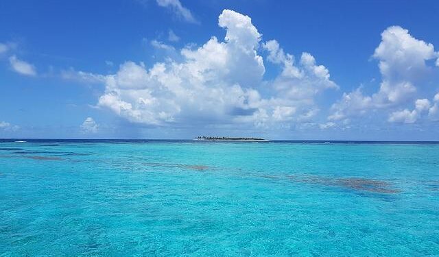 Trinidad and Tobago citizens in US divided on presidential candidates – TT Newsday