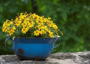 Biden Will Remove Cuba From List of State Sponsors of Terrorism – The New York Times