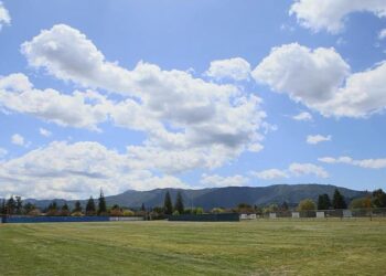 Opinion | Is This the Silicon Valley of Latin America? – The New York Times