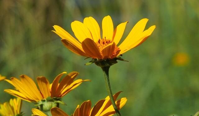 Biden’s first presidential visit to South America comes too late and with China gaining momentum – Atlantic Council