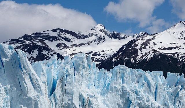 Photo essay: Houstonians celebrate Argentina, Ecuador in Copa America – The Houston Landing