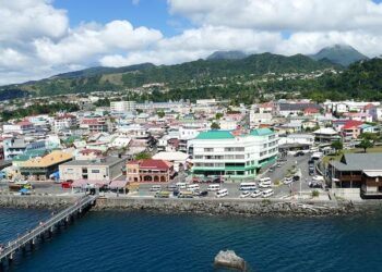 Dominica launches HEARTS in the Americas – PAHO/WHO – Pan American Health Organization