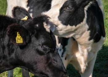 Remarks in Cutuco, El Salvador – The American Presidency Project