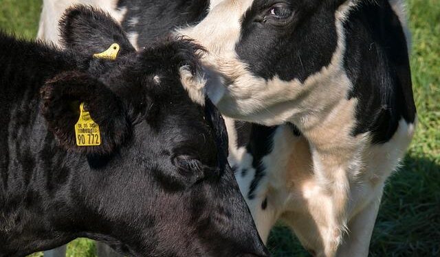 Remarks in Cutuco, El Salvador – The American Presidency Project