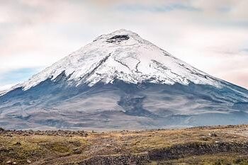 ‘We’re witnessing extraordinary change’: Ecuador get ready for Copa América Femenina – The Guardian