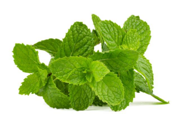 United States Mint Arkansas American Innovation® $1 Coin Products Available on January 7 – GlobeNewswire