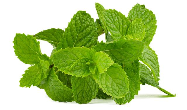 United States Mint Arkansas American Innovation® $1 Coin Products Available on January 7 – GlobeNewswire