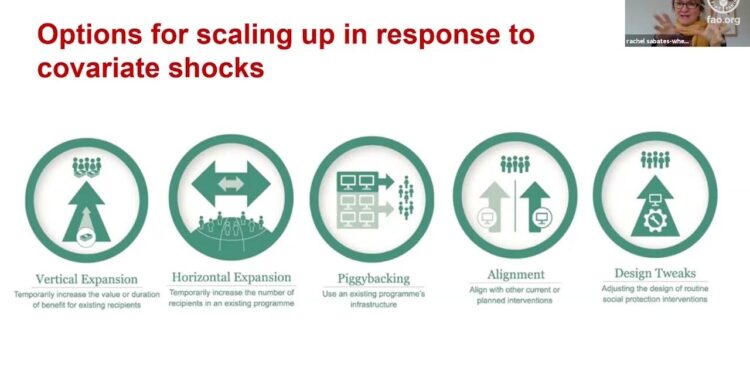Study on Shock-Responsive Social Protection in Latin America and the Caribbean – Dominica case study – ReliefWeb