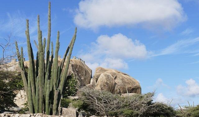 Aruba Tourism Authority Hires Sales Manager for Western Region – Travel Agent Central