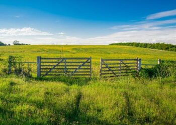 Uruguay passes law regulating crypto, could set precedent for rest of Latin America – Latin America Reports