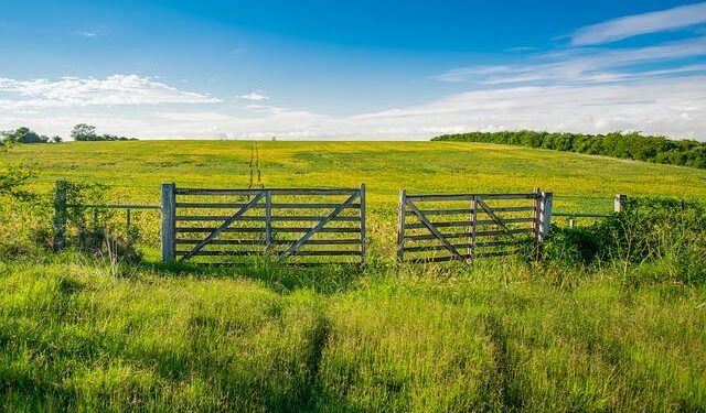 Uruguay passes law regulating crypto, could set precedent for rest of Latin America – Latin America Reports