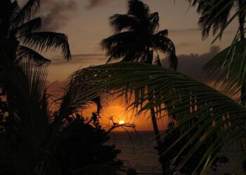 Royal Caribbean Bases Ship in Bermuda to Resume North American Cruises – The Maritime Executive