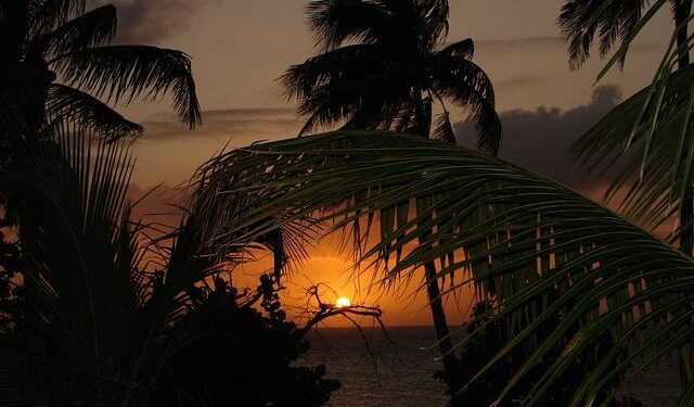 Royal Caribbean Bases Ship in Bermuda to Resume North American Cruises – The Maritime Executive