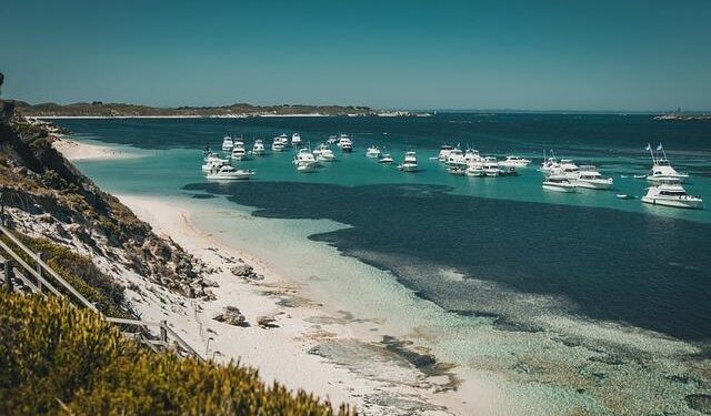 Australia vs Pumas with Very Late Night Kick-Off times in South America – Americas Rugby News