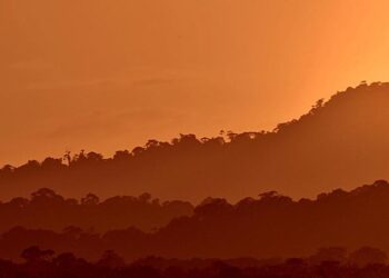 Guyana – Department of State