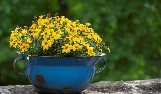 Biden signs US law barring ‘stolen’ Cuba-owned trademarks – Reuters.com