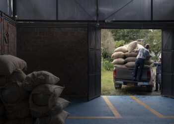 Colombia sends air force planes to bring home migrants deported from the US – Voice of America