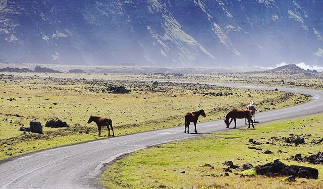 Steinmeier visits Chile on South America trip – Yahoo