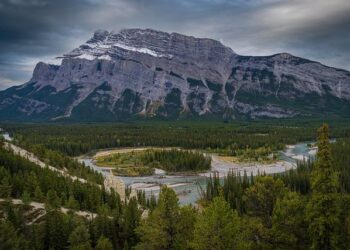 Canada beats Peru 1-0 at Copa America on David goal, first win over South American team in 24 years – The Associated Press