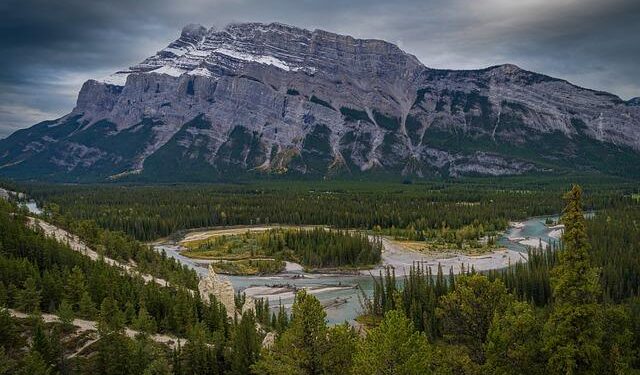 Canada beats Peru 1-0 at Copa America on David goal, first win over South American team in 24 years – The Associated Press
