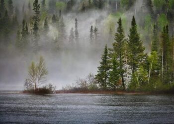 Climate crisis threatens 41 million across Caribbean and Latin America: UN – Al Jazeera English