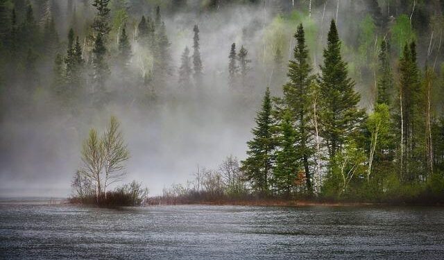 Climate crisis threatens 41 million across Caribbean and Latin America: UN – Al Jazeera English