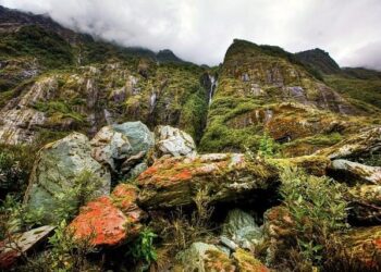 Rainforest villages in French Guiana cut off by loss of airline – Phys.org