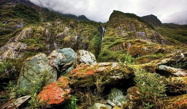 Rainforest villages in French Guiana cut off by loss of airline – Phys.org