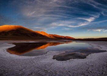 Milei’s first year ends with optimism. Can Argentina’s momentum continue in 2025? – Atlantic Council