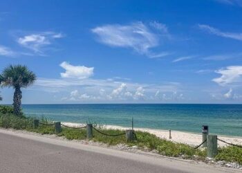 Taylor Casey missing: Authorities find cell phone of Chicago woman last seen around Paradise Island in Bahamas – ABC7 New York