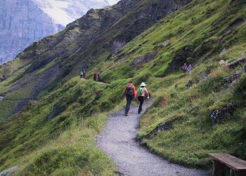 U.S.-Brazil Relations at an Impasse – Inter-American Dialogue