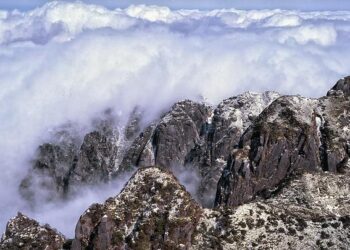 June 2020 – National Caribbean-American Heritage Month – US Embassy in Barbados