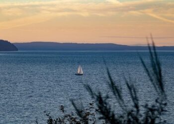 United States Congratulates Antigua and Barbuda and COVAX Donor Countries on Arrival of COVID-19 Vaccines – US Embassy in Barbados