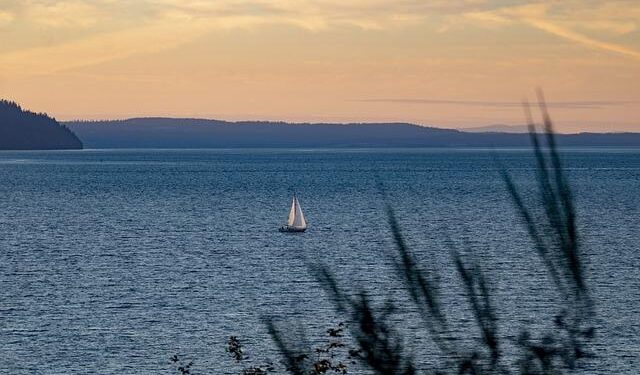 United States Congratulates Antigua and Barbuda and COVAX Donor Countries on Arrival of COVID-19 Vaccines – US Embassy in Barbados