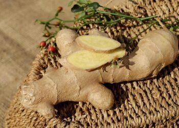 Ginger Zee Returns to ‘GMA’ After Being Stranded in Anguilla During Family Vacation With Kids – Yahoo Entertainment