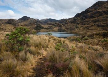 Ecuador’s wild west shows limits of Noboa’s ‘iron fist’ – Buenos Aires Times