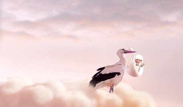 US Joins Ireland, India, Australia, UK, France, New Zealand and Dominican Republic in Tackling Birth Tourism and Rethinking Birthright Citizenship – Travel And Tour World