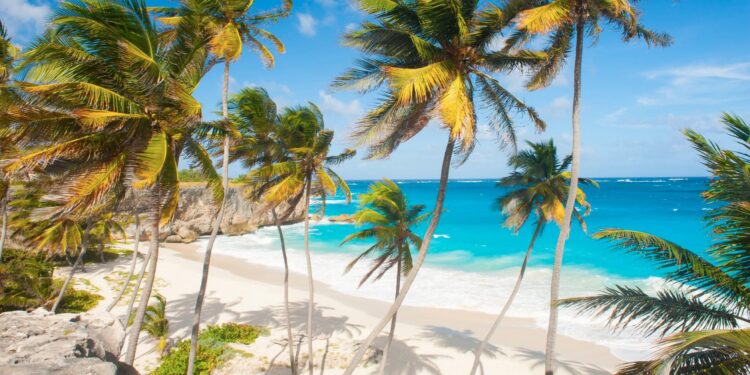 Barbados opens U21 Netball Qualifiers with a massive win – Barbados Today